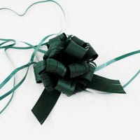 Raffia Strip Ribbons