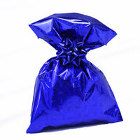 Metallic Solid Color Gift Bags 