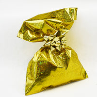 Metallic Solid Color Gift Bags 