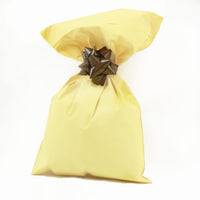 Pearlescent Gift Envelopes Solid Color Matte with Adhesive Strip